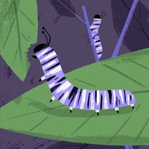 Meet your Posher, Analeigh